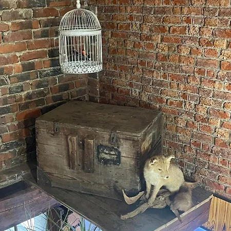 Buri's Seenlandhaus בית נופש הוירסוורדה